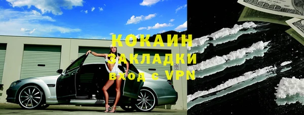 бошки Няндома