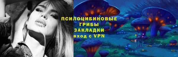 МДПВ Нязепетровск