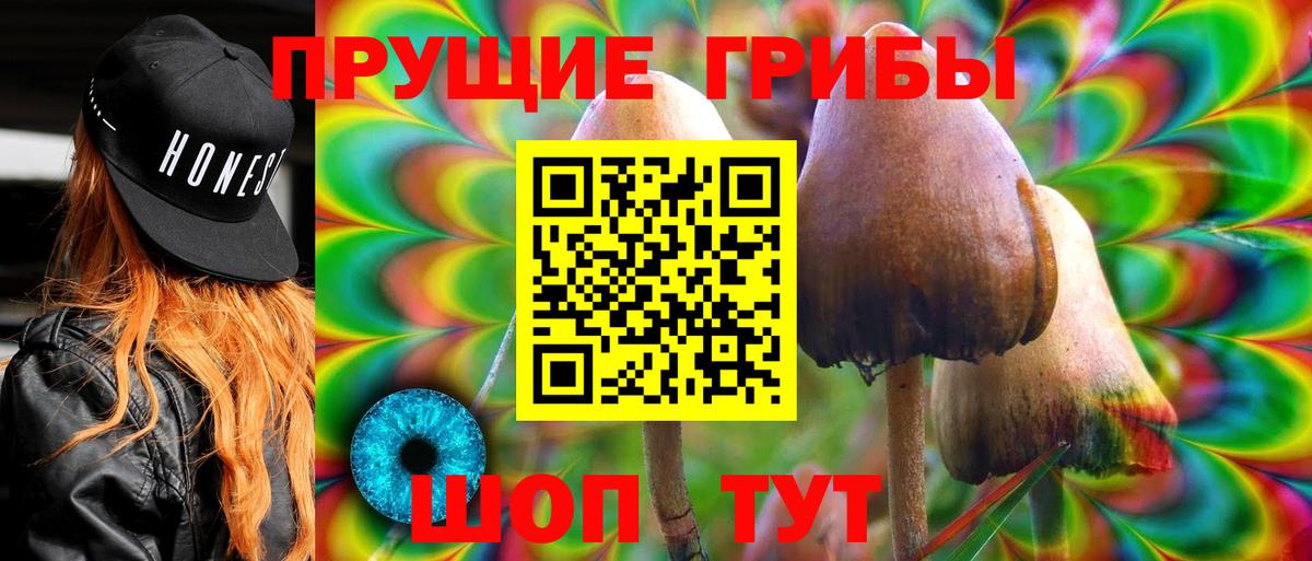 A PVP Мирный