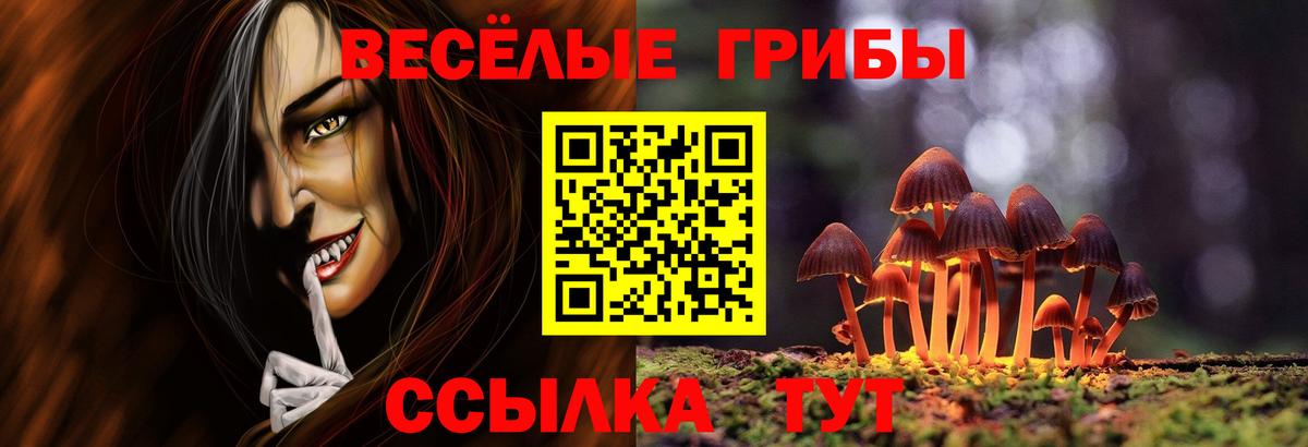 Галлюциногенные грибы Cubensis Мирный