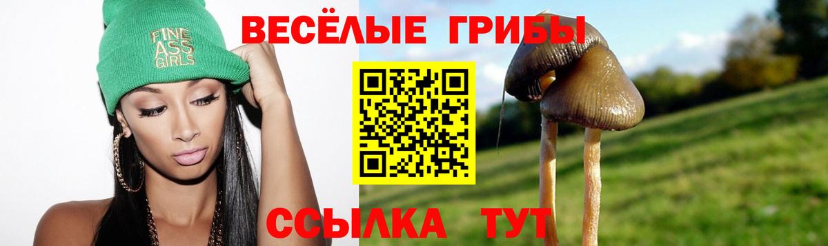 Галлюциногенные грибы GOLDEN TEACHER  Галлюциногенные грибы прущие грибы  Мирный 