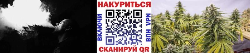Бошки марихуана Bruce Banner Мирный